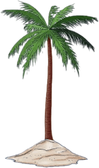 A palm tree with green leaves on it's trunk.